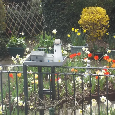 St Judes Bed & Breakfast Galway