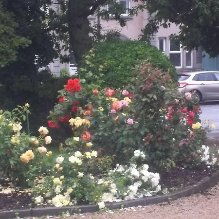 Bed & Breakfast St Judes 3*