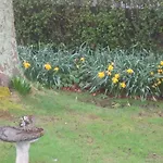 Bed & Breakfast St Judes