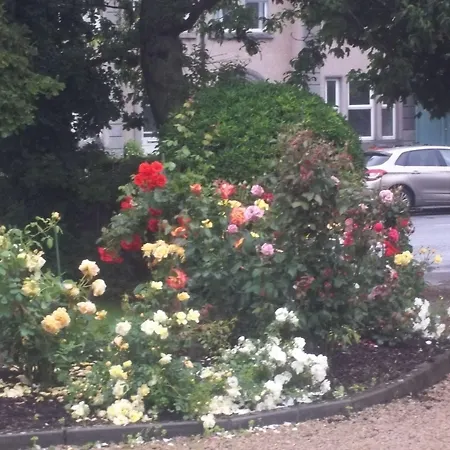 St Judes Oda ve Kahvaltı