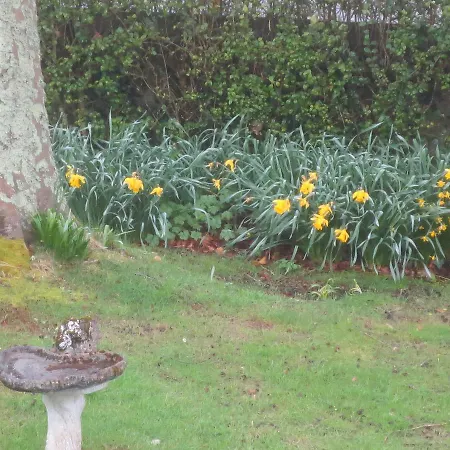 Oda ve Kahvaltı St Judes