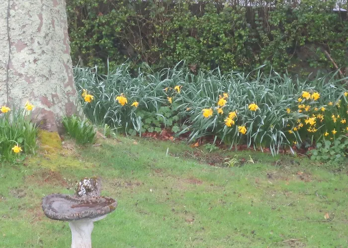 Bed & Breakfast St Judes