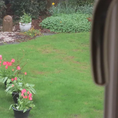 לינה וארוחת בוקר St Judes 3*